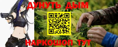сатива Будённовск