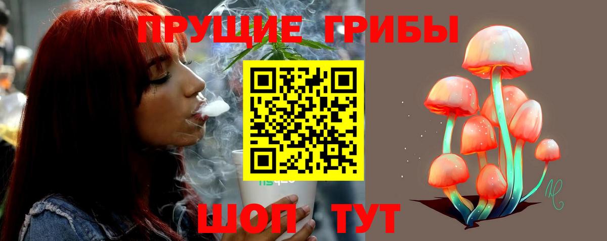 Псилоцибиновые грибы Psilocybine cubensis Урай
